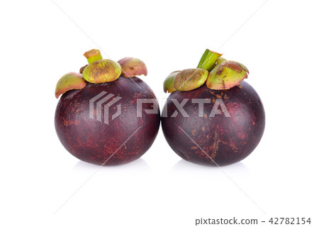 whole fresh mangosteen on white background whole fresh mangosteen on white background 42782154