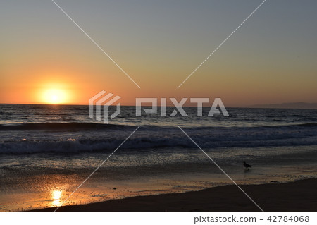 海灘 海灘 42784068