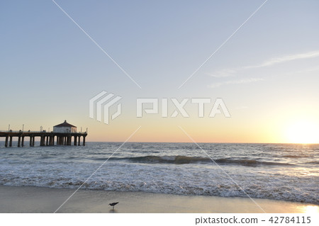 海灘 海灘 42784115
