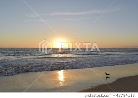 海灘 海灘 42784118