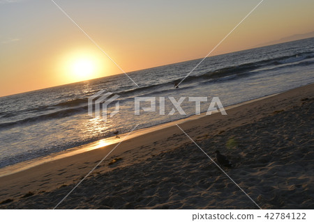 海灘 42784122