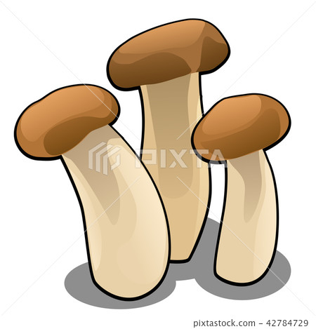 Group of forest cartoon mushrooms isolated on white background close-up. Vector cartoon close-up Group of forest cartoon mushrooms isolated on white background close-up. Vector cartoon close-up 42784729