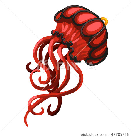 Pendant in the form of a red jellyfish isolated on a white background. Fashion accessories. Vector Pendant in the form of a red jellyfish isolated on a white background. Fashion accessories. Vector 42785766