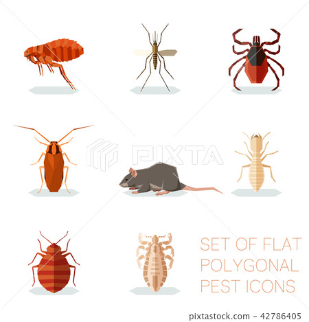 Set of flat polygonal pest icons 42786405