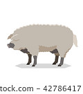 Flat geometric Mangalitsa pig 42786417