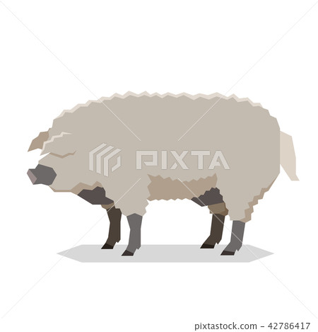 Flat geometric Mangalitsa pig Flat geometric Mangalitsa pig 42786417