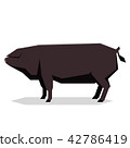 Flat geometric Large Black pig 42786419