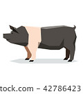 Flat geometric Hampshire pig 42786423