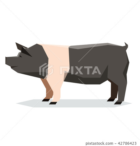 Flat geometric Hampshire pig Flat geometric Hampshire pig 42786423