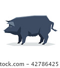 Flat geometric Guinea Hog 42786425