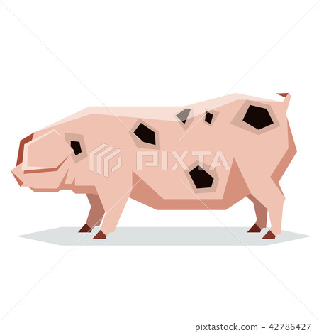 Flat geometric Gloucestershire Old pig Flat geometric Gloucestershire Old pig 42786427