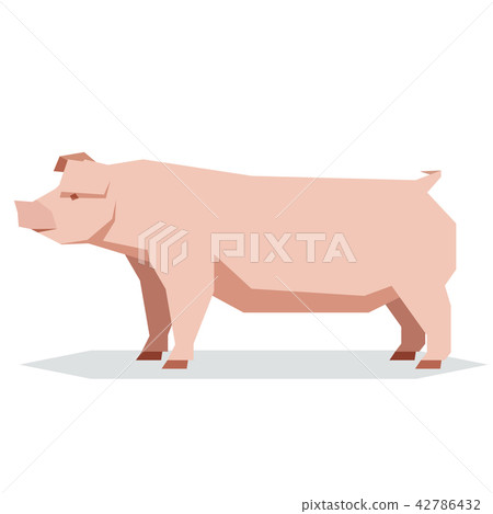 Flat geometric Chester white pig Flat geometric Chester white pig 42786432