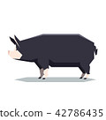 Flat geometric Berkshire pig 42786435