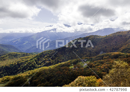 Autumn leaves of the Northern Alps 42787998