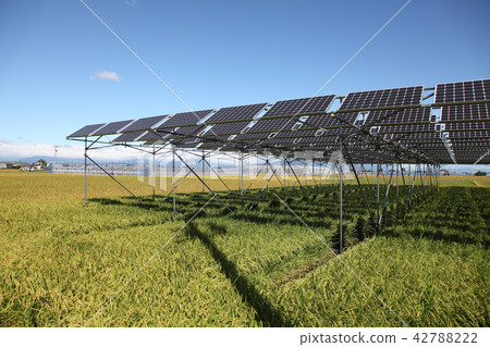 太陽能電池板_農業型太陽能三重縣木曾開普敦 太陽能電池板_農業型太陽能三重縣木曾開普敦 42788222