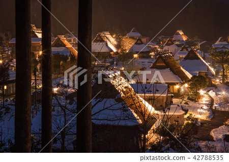 Kyoto prefecture Miyama Kayabuki no Sato light up Kyoto prefecture Miyama Kayabuki no Sato light up 42788535