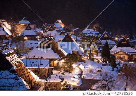 Kyoto prefecture Miyama Kayabuki no Sato light up 42788536