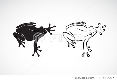 Vector of frog design on white background.  42789007