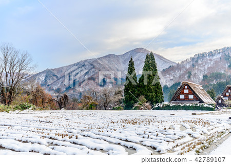 Gassho-zukuri house in Shirakawa village, Japan 42789107