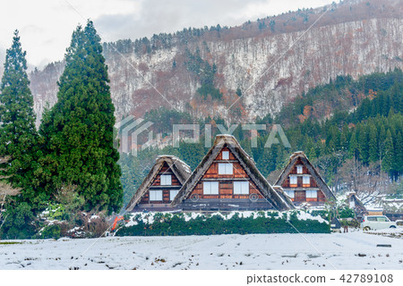 Gassho-zukuri house in Shirakawa village, Japan 42789108
