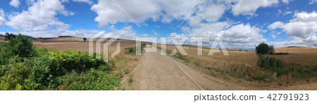Pilgrimage Panorama Pilgrimage Panorama 42791923