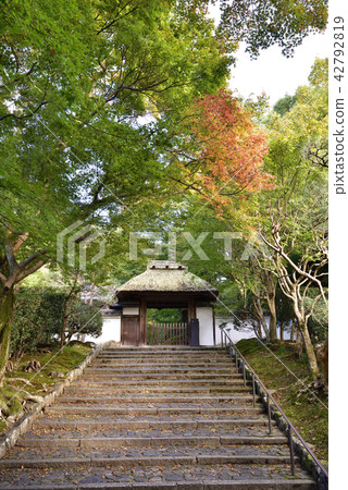 安田寺秋葉 安田寺秋葉 42792819