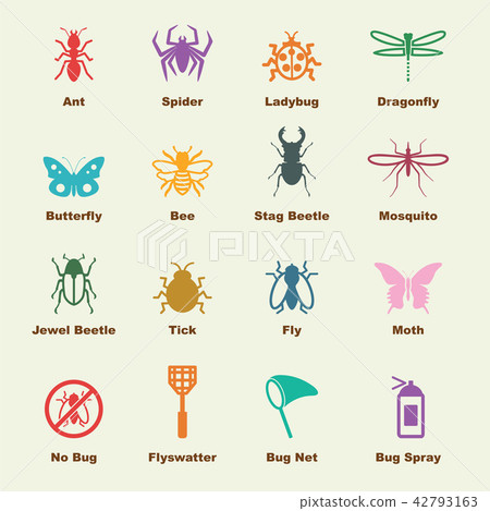 insect elements 42793163