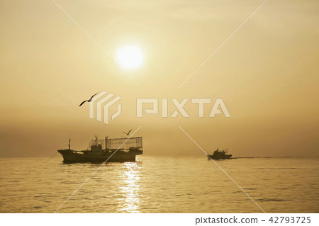 日落，新津港，泰安縣，忠清南道，韓國 42793725