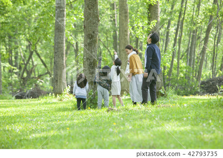 Go out with family Go out with family 42793735