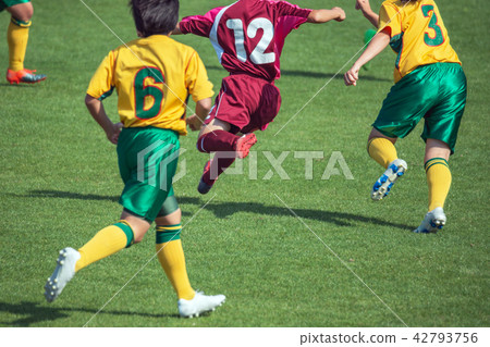 Women's soccer game landscape Women's soccer game landscape 42793756