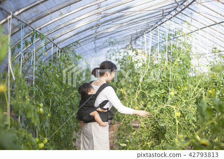 工作的母親 42793813