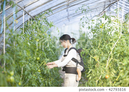 工作的母親 42793816