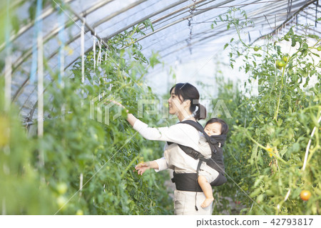 Working mother Working mother 42793817