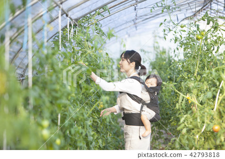 工作的母親 42793818