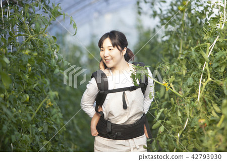 農民的母親 42793930