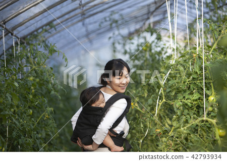 農民的母親 42793934