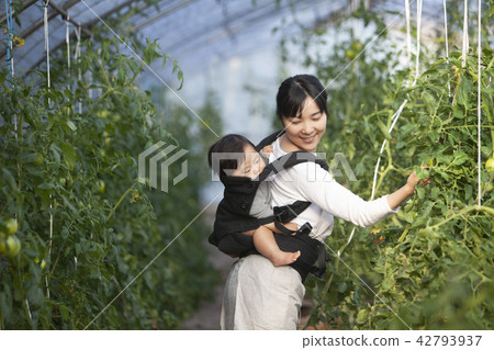 農民的母親 42793937