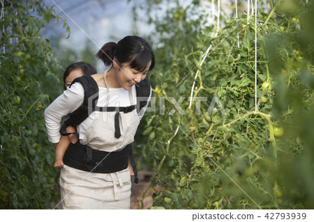 農民的母親 42793939