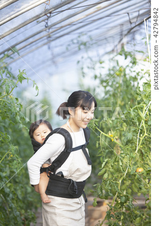 在成長一個孩子的家庭花園 42794842