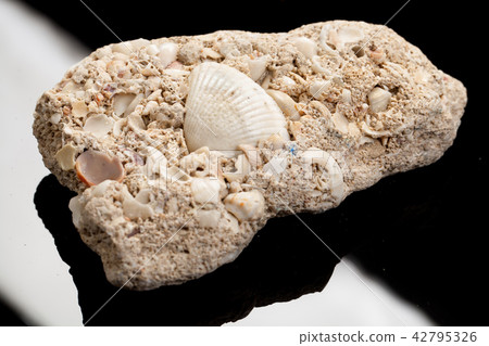 Piece Of Stone Piece Of Stone 42795326