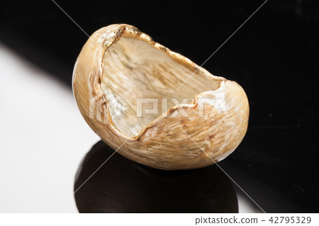 Piece Of Stone 42795329