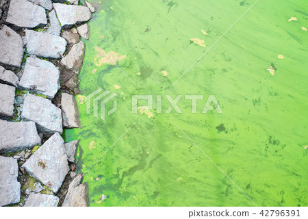 Contaminated watercourse 42796391