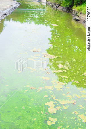 Contaminated watercourse Contaminated watercourse 42796394