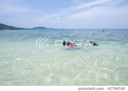 石垣島海中浮潛的兒童度假勝地形象 42796589