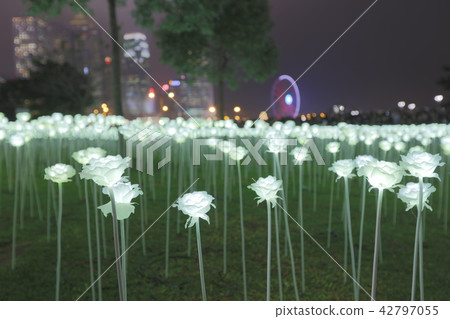 Light Rose Garden In Hong Kong City at night Light Rose Garden In Hong Kong City at night 42797055