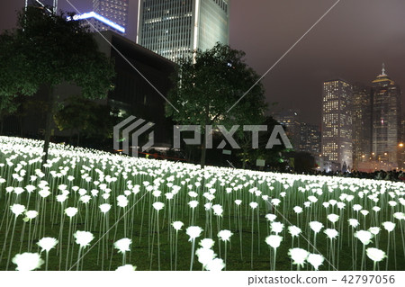 Light Rose Garden In Hong Kong City at night Light Rose Garden In Hong Kong City at night 42797056