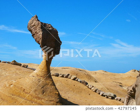 Queen s head Stone on Yehliu Geopark in Taiwan. 42797145