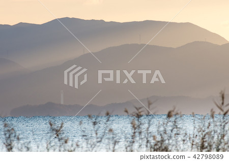 Morning on the shores of Lake Biwa Morning on the shores of Lake Biwa 42798089