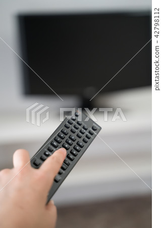 電視遙控器 42798112