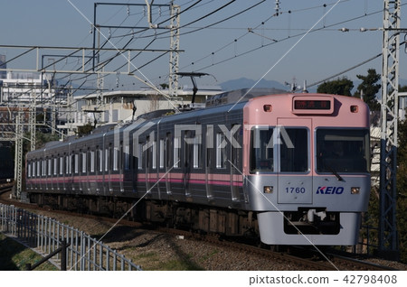 Keio 1000系列鮭魚粉色高橋站 Keio 1000系列鮭魚粉色高橋站 42798408